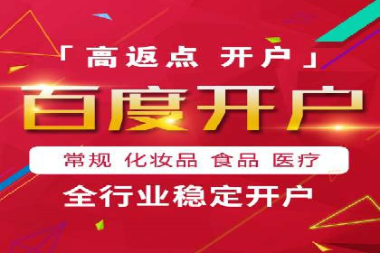 百度竞价广告运营全解析：成功案例揭秘